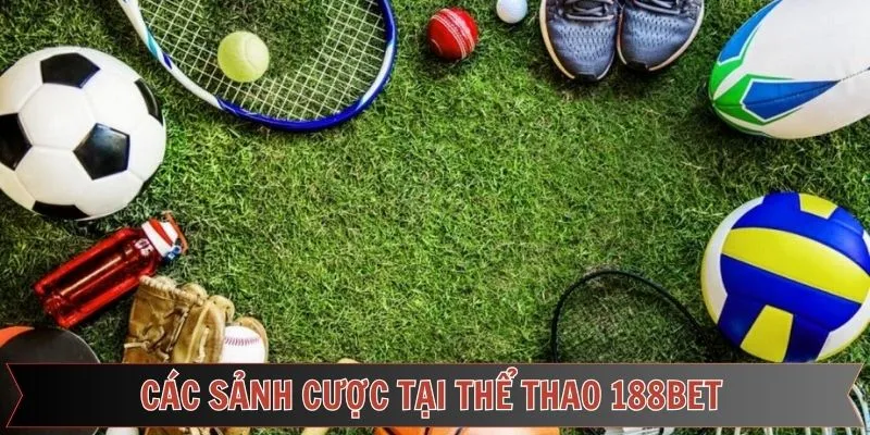 Thể Thao 188bet - Chuyên Mục Game Hấp Dẫn Hàng Đầu Việt Nam 7 Những sảnh cược thể thao hàng đầu tại nhà cái