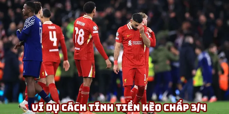 Kèo chấp 3.4 - Hướng dẫn cá cược dễ thắng cùng 188bet 8 Ví dụ cách tính tiền kèo chấp 3/4